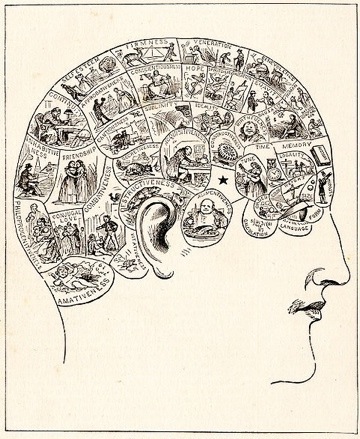 Cognitive Science