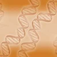Genetics and Genomics